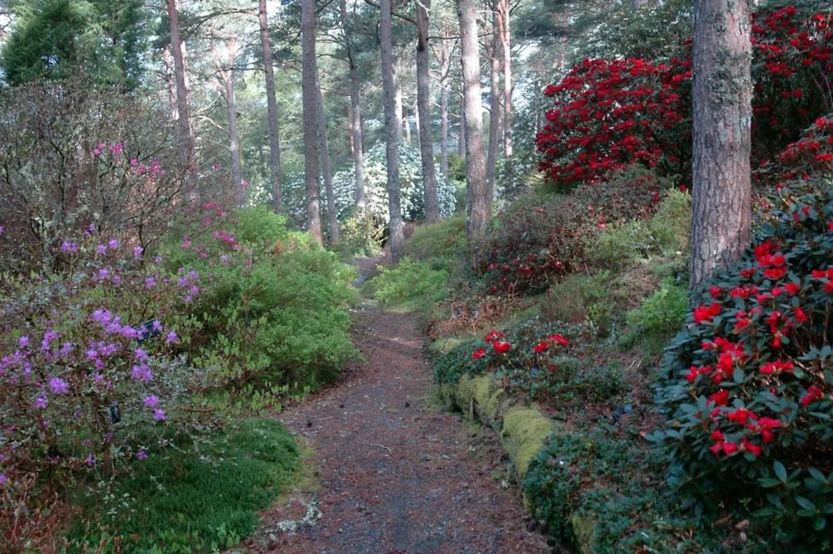 Villa Vy - A Gem With Private Beach In Bergen